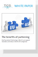 ENG wp Benefits of Partnering